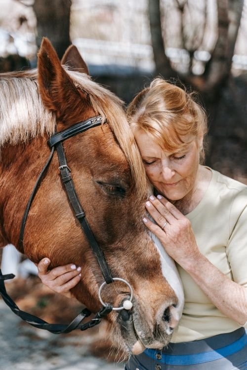 A Lifelong Love of Horses