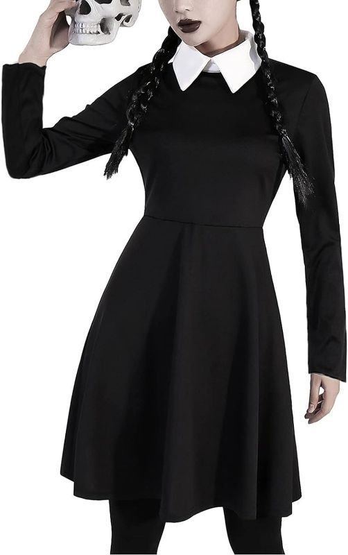 The Exact Pieces: Dress, Collar, Shoes